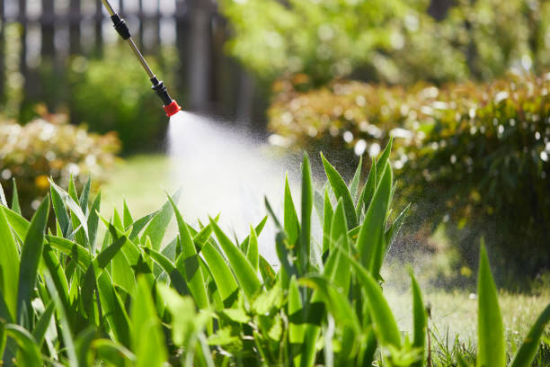 Tamper-Resistant Bait Stations for Rodents in Groesbeck