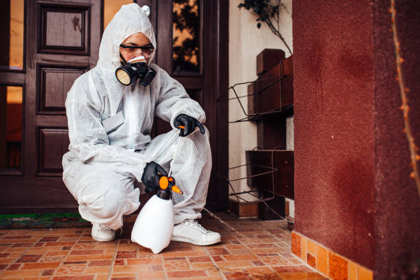 Attic and Crawl Space Rodent Treatment in Groesbeck